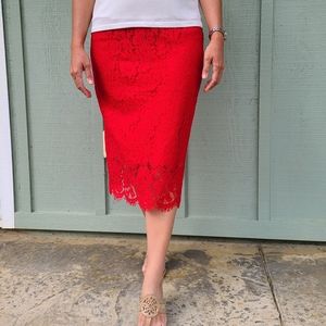 Rachel Parcell Lace Pencil Skirt Holiday 2018